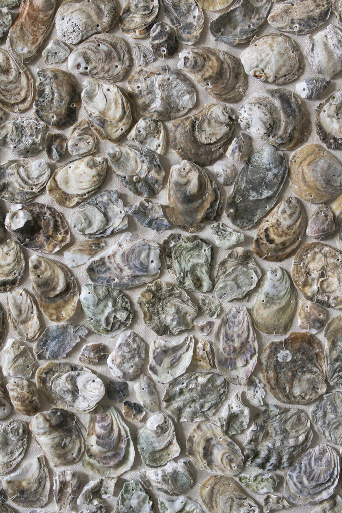 Oyster Shell Wall Sculpture